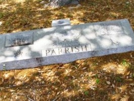Earlene Jeanette E. Parrish