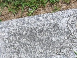 Earline Willis Sumrall