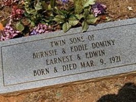 Earnest Dominy