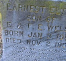 Earnest Elton Welsh