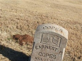 Earnest P Copes Earnest P Copes