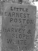 Earnest Poston White