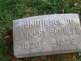 Earnest Schuler