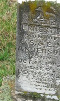 Earnest W Anderson