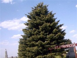 East Primrose Cemetery