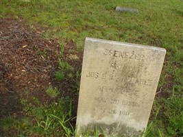 Ebenezer Applegate