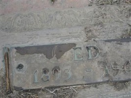 Ed Miller
