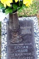 Edgar Jesus Hernandez