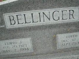 Edith L. Perrin Bellinger