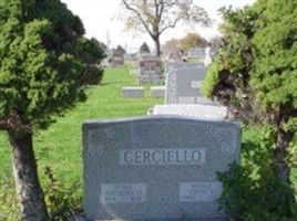 Edith V. Vitale Cerciello Edith V. Vitale Cerciello
