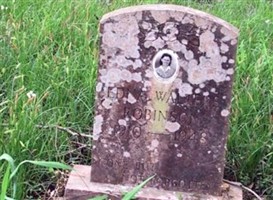 Edna Walters Robinson