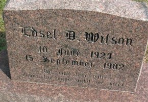 Edsel D Wilson