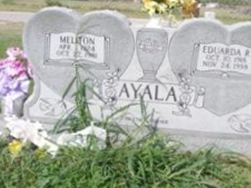 Eduarda R Ayala