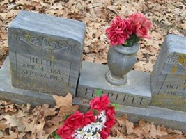 Edward Albert Triplett Edward Albert Triplett