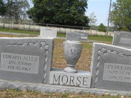 Edward Allen Morse