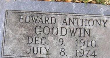 Edward Anthony Goodwin