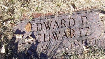 Edward David Schwartz