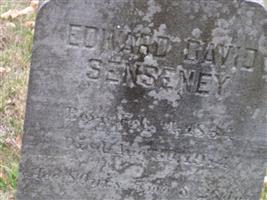 Edward David Senseney