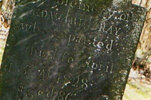 Edward Dray