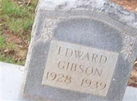 Edward Gibson
