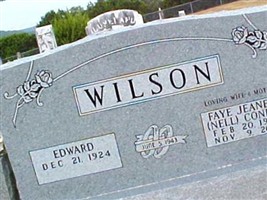 Edward Irvin Wilson