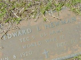 Edward L Newman