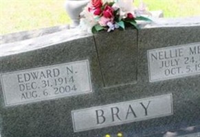 Edward N Bray Edward N Bray