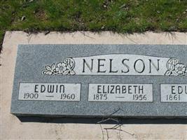 Edward Nelson