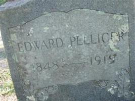 Edward Pellicer