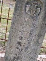Edward Rutledge Ives
