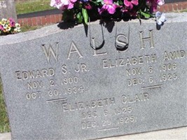 Edward S Walsh, Sr