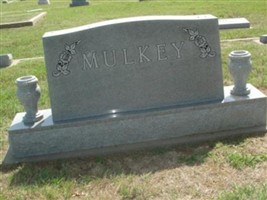 Edward Wallace Mulkey