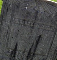 Edward Y. Sturdevant