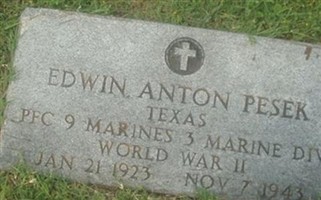 Edwin Anton Pesek