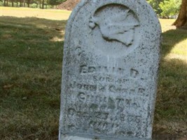 Edwin D Christy