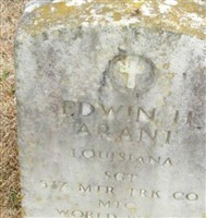Edwin H. Arant
