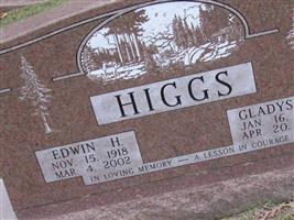 Edwin H Higgs