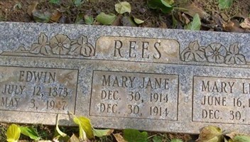 Edwin Rees