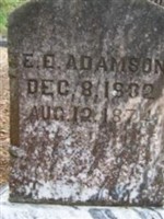 E. E. Adamson