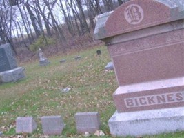 Effie Leone Bicknese