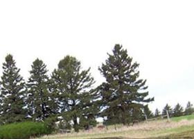 Eidskog Lutheran Cemetery