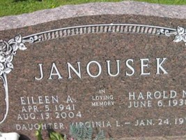 Eileen A. Janousek Eileen A. Janousek