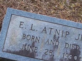 E L Atnip, Jr E L Atnip, Jr