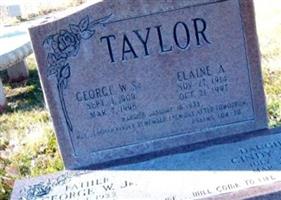 Elaine A Taylor