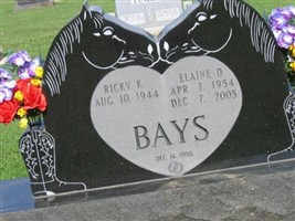 Elaine Diane Willoughby Bays