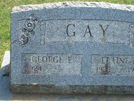 Elaine J Gay