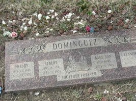 Elanore Dominguez