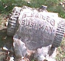Elbridge Bushman