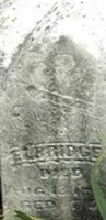 Elbridge Roberts