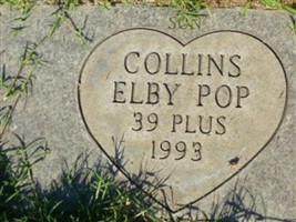 Elby Lee "Pop" Collins
